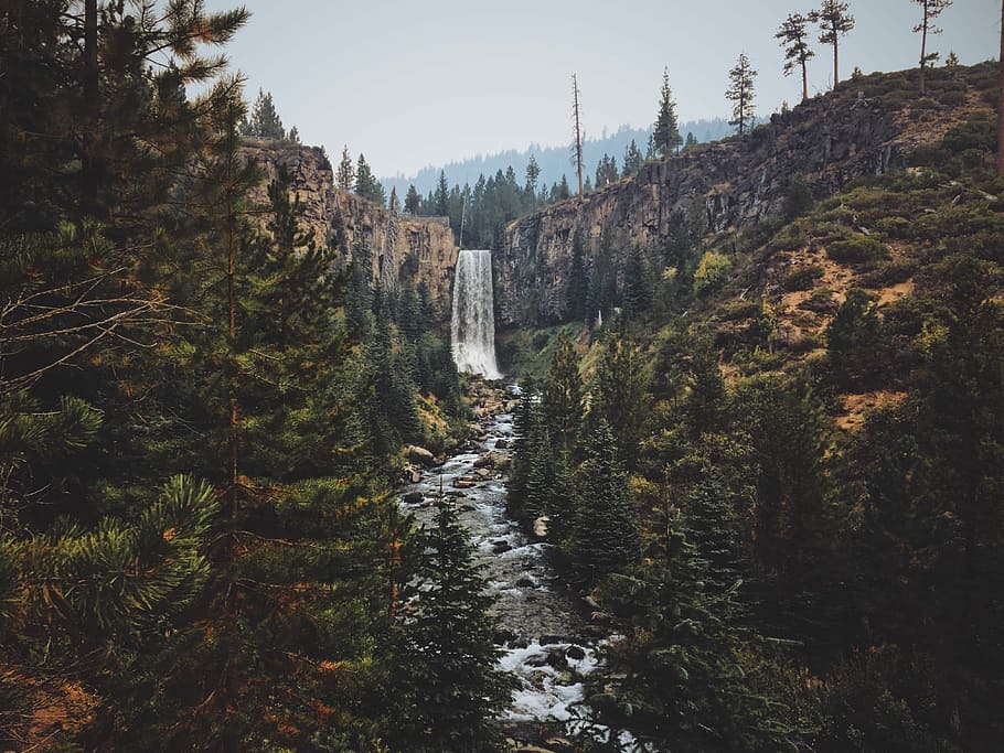 cascata, alberi, colline, albero, foderato, torrente, giorno, fiume, foresta, Pino, pianta, natura, scenics - natura, bellezza nella natura, crescita, terra, acqua, nessuno, acqua corrente, movimento, cielo, lunga esposizione, ambiente, all'aperto, scena non urbana, fluente, potere in natura, 4K