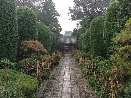 tempio, cancello, ciottolo, pianta, albero, crescita, sentiero, colore verde, la strada davanti, direzione, natura, architettura, nessuno, giorno, parco, struttura costruita, giardino, giardino formale, parco - spazio creato dall'uomo, all'aperto, la tranquillità, prospettiva decrescente, bellezza nella natura, siepe, 2K, CC0, dominio pubblico, privo di copyright