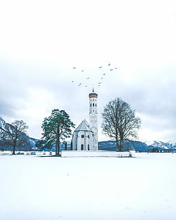 nieve, cubierto, archivado, catedral, blanco, estructura, arboles, nublado, cielo, invierno, temperatura fría, estructura construida, árbol, arquitectura, exterior del edificio, naturaleza, planta, edificio, vertebrado, creencia, nadie, religión, torre, lugar de adoración, pájaro, al aire libre, 4K, CC0, dominio público, libre de derechos
