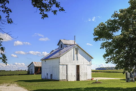 lade, rustik, staldene, ohio, digital kunst, landdistrikterne, naturskøn, Land, landskabet, landskab, skur, skure, gård, gårde, landbrug, landbrugs, stuehus, Champaign, region, americana, Foto, fotografi, struktur, strukturer, sturgell, william sturgell, bill sturgell, historisk, hjem indretning, bygninger, skyer, himmel, træ, træer, overskyet, ukrudt, champaign county, Urbana, plante, bygget struktur, arkitektur, græs, bygning udvendig, natur, jord, Mark, landbrugsbygning, landlige scene, bygning, ingen mennesker, dag, grøn farve, sky - himmel, udendørs, 5K, CC0, offentligt domæne, royaltyfrie