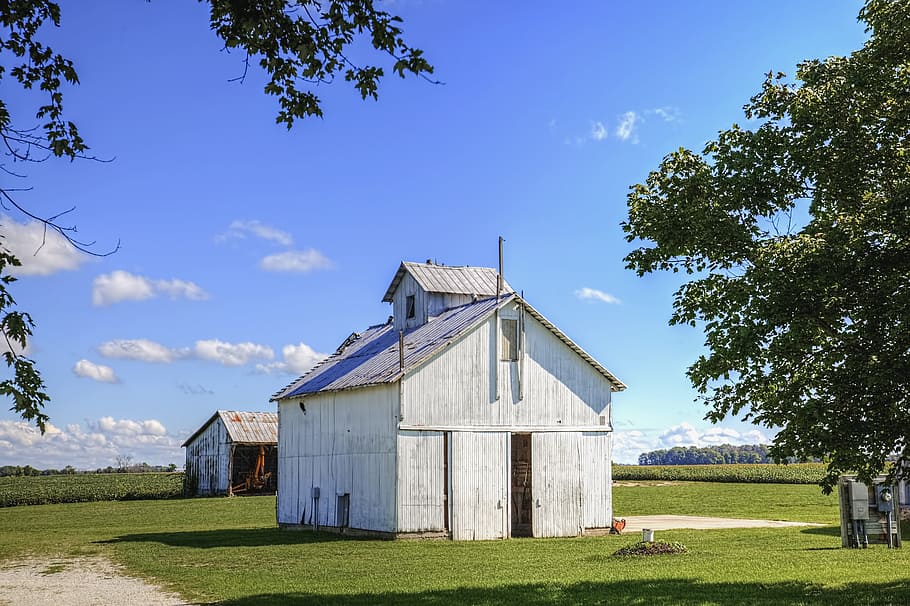 lade, rustik, staldene, ohio, digital kunst, landdistrikterne, naturskøn, Land, landskabet, landskab, skur, skure, gård, gårde, landbrug, landbrugs, stuehus, Champaign, region, americana, Foto, fotografi, struktur, strukturer, sturgell, william sturgell, bill sturgell, historisk, hjem indretning, bygninger, skyer, himmel, træ, træer, overskyet, ukrudt, champaign county, Urbana, plante, bygget struktur, arkitektur, græs, bygning udvendig, natur, jord, Mark, landbrugsbygning, landlige scene, bygning, ingen mennesker, dag, grøn farve, sky - himmel, udendørs, 5K