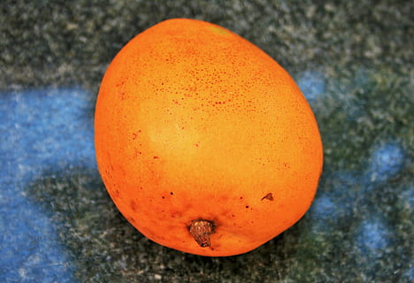 frutta, Mango, il giro, arancia, fresco, tropicale, colore arancione, cibo, cibo e bevande, mangiare sano, benessere, avvicinamento, nessuno, freschezza, natura morta, agrumi, concentrarsi sulle conoscenze acquisite, all'aperto, vista dall'alto, natura, giorno, forma, sfera, maturo, 1080P, CC0, dominio pubblico, privo di copyright