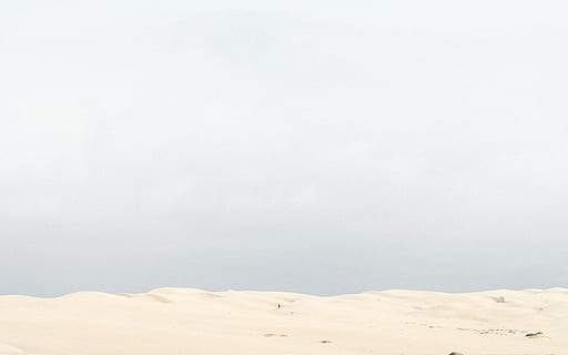 fotografie, bílý, sanda, sněhové pole, pláž, duny, mraky, bezútěšný, californium, světlo, nebe, písek, minimalismus, minimální, túra, Procházka, osoba, samota, sníh, kopie prostor, zimní, životní prostředí, přistát, studená teplota, krajina, nikdo, scenics - příroda, bílá barva, klid, Příroda, mrak - nebe, den, pozadí, mlha, krása v přírodě, bouřka, sněží, klimatu, vánice, 4K, CC0, veřejná doména, bez autorských práv