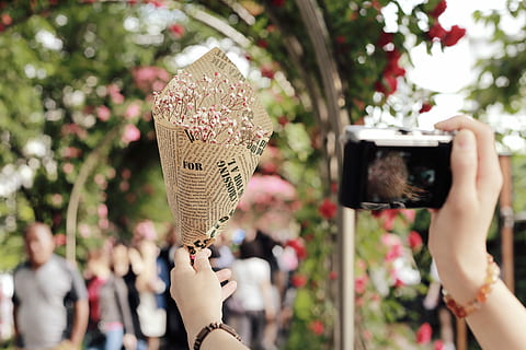 persona, presa, foto, rosa, fiore, avvolto, carta, rosso, vite, coperto, arco, giorno, rosa rossa, all'aperto, donne, persone, detenzione, Fotografare, macchina fotografica - attrezzatura fotografica, temi fotografici, mano umana, una persona, parte del corpo umano, persone reali, concentrarsi sulle conoscenze acquisite, mano, adulto, tecnologia, stili di vita, pianta, comunicazione, albero, tecnologia wireless, dito, 5K, CC0, dominio pubblico, privo di copyright