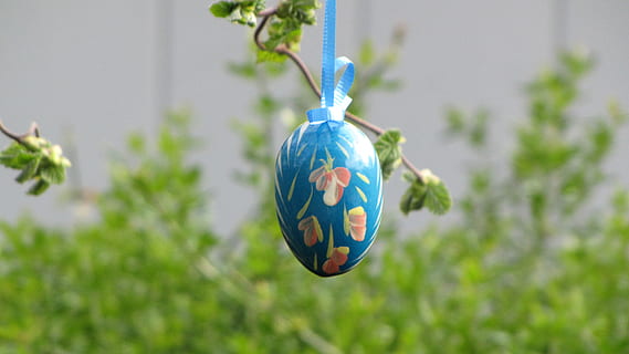 Ostern, Ei, bemaltes Ei, Ostereier, Baumschmuck, bunt, Deko, Dekoration, Kunst, Zoll, Tradition, Fokus auf den Vordergrund, Pflanze, Natur, Osterei, Tag, Blau, keine Leute, Kreativität, hängend, Nahansicht, Tier, Baum, Tierdarstellung, Feier, draußen, Darstellung, grüne Farbe, 4K, CC0, gemeinfrei, lizenzfrei