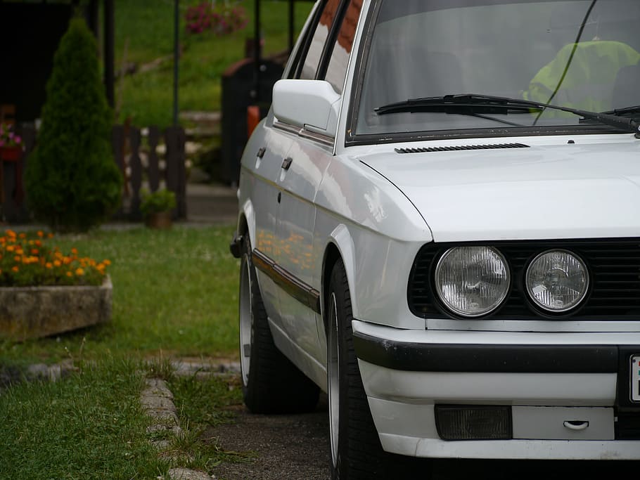 bmw, e28, blanc, cotxe, vell, vehicle terrestre, transport, roda, manera de transport, automòbil, dia, herba, centrar-se en primer pla, planta, cap gent, faro, Color blanc, a l'aire lliure, camp, naturalesa, estacionari, estil retro, davant o pati del darrere, aparcament, luxe, 4K