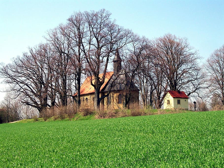 kapel, forår, eng, natur, landskab, landdistrikterne, kristen, bare træ, græs, træ, grøn farve, Mark, landlige scene, plante, arkitektur, bygget struktur, bygning, bygning udvendig, himmel, hus, jord, ingen mennesker, dag, miljø, landbrugsbygning, vækst, udendørs, sommerhus, 1080P