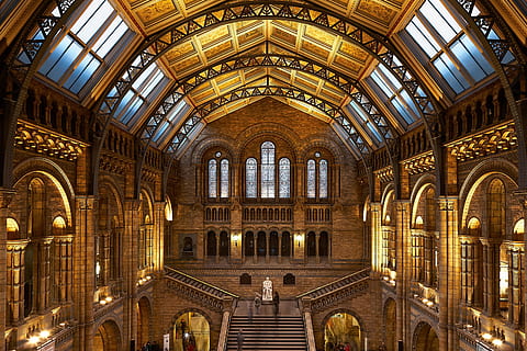 cattedrale di cemento beige, costruzione, interno, architettura, dentro, Museo di Storia Naturale, Londra, colonne, pilastri, statua, punto di riferimento, famoso, contemporaneo, soffitto, illuminazione interna, muro interno, struttura costruita, arco, destinazioni di viaggio, in casa, il passato, storia, illuminato, turismo, finestra, viaggio, nessuno, città, attrezzatura per l'illuminazione, Inquadratura dal basso, giorno, vecchio, colonna architettonica, ornato, arcuato, 4K, CC0, dominio pubblico, privo di copyright