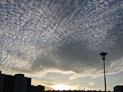 cirro, nuvole, tramonto, cielo, cirrocumulus, lampione, Inquadratura dal basso, strada, nuvola - cielo, attrezzatura per l'illuminazione, architettura, struttura costruita, esterno dell'edificio, natura, nessuno, silhouette, all'aperto, città, costruzione, luce, giorno, crepuscolo, quartiere residenziale, lampada elettrica, 1080P, CC0, dominio pubblico, privo di copyright