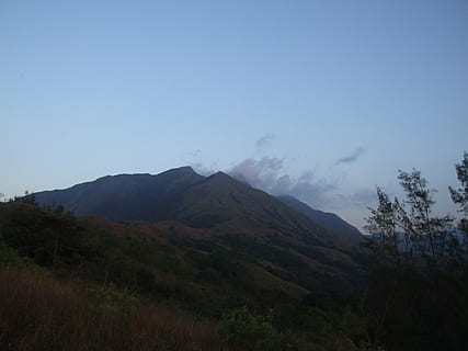 pădure, soare, natură, copac, vară, copaci, verde, ecologie, frunze, mediu rural, pitoresc, India, păduri, vestul țării, sahyadri, kumara parvata, seară, cer, Munte, peisaj, teren, scenice - natura, mediu inconjurator, o scenă liniștită, frumusețe în natură, nici o persoana, liniște, plantă, scenă non-urbană, spațiu copie, în aer liber, albastru, zi, la distanta, idilic, de munte, varf de munte, 2K, CC0, domeniu public, fără drepturi de autor