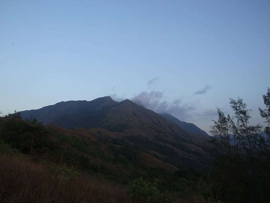 bosc, sol, naturalesa, arbre, estiu, arbres, verd, boscos, ecologia, fulles, camp, escènic, Índia, Western Ghats, sahyadri, kumara parvatha, tarda, cel, muntanya, paisatge, terra, escenics - natura, medi ambient, escena tranquil·la, bellesa a la natura, cap gent, tranquil·litat, planta, escena no urbana, còpia espai, a l'aire lliure, blau, dia, remot, idíl·lic, Serra, cim de muntanya, 2K