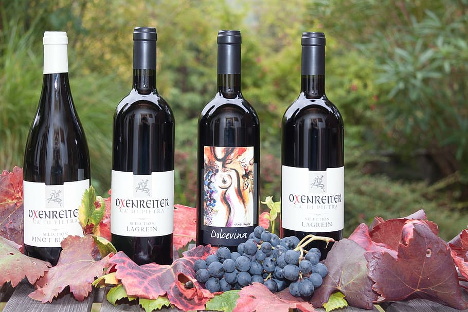 fire, vinflasker, vindruer, dagtimerne, fotografering, vin, flaske, etiket, drue, blad, vinhøst, plante, efterår, efterår farver, taksigelse, beholder, tekst, mad og drikke, alkohol, meddelelse, vinflaske, drikke, ingen mennesker, dag, forfriskning, valg, vestlige script, variation, stor gruppe af objekter, natur, mad, rødvin, 4K