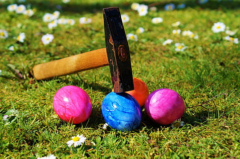 ou de Pasqua, pressa, martell, obert, prat, verd, herba, al verd, jardí, naturalesa, ou bullit, colorit, Pasqua, primavera, primavera de Pasqua, Feliç Pasqua, pintura d'ous de Pasqua, ou, dur, ous durs, menjar, ous de colors, multicolor, cap gent, a l'aire lliure, dia, primer pla, celebració, planta, festa, menjar i beguda, color verd, terra, camp, religió, flor, porpra, 5K, CC0, domini públic, lliure de regalies