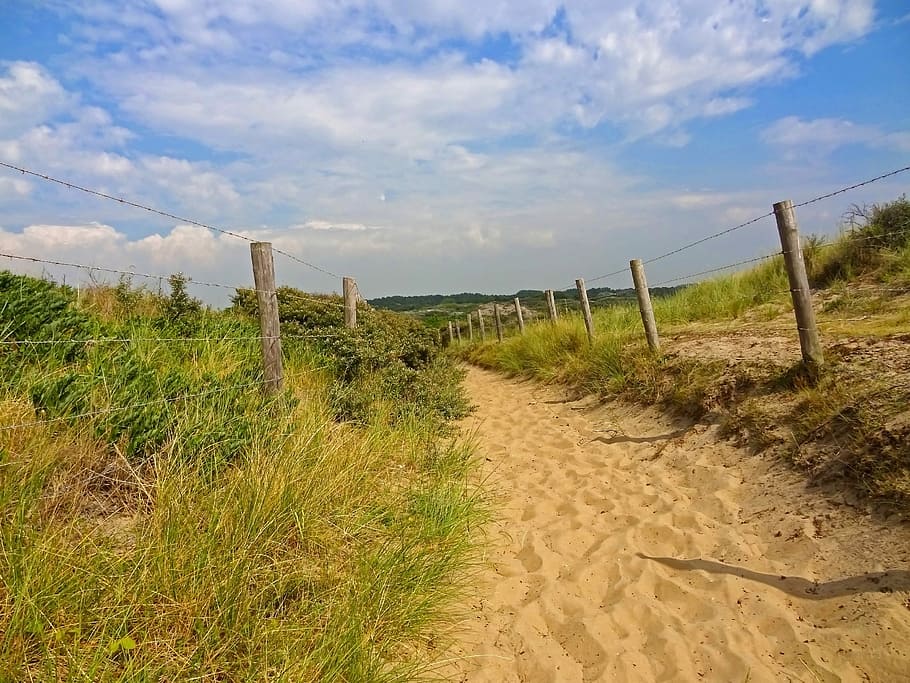 lontano, sentiero, dune, estate, riserva naturale, spiaggia, mare del Nord, mare, paesaggio, vacanze, dune di sabbia, Spiaggia di sabbia, paesaggio di dune, Brecca, nuvola - cielo, cielo, scena non urbana, natura, Paesaggi, terra, barriera, confine, recinto, erba, pianta, scena tranquilla, la tranquillità, ambiente, nessuno, scenics - natura, bellezza nella natura, giorno, sabbia, la strada davanti, all'aperto, pista, 2K