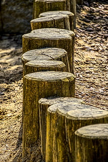 trunchiuri de lemn, post, limită, marcă, contur, încadrată, delimitare, Buturuga, copac, structura, arbore copac, teanc, hdr, gamă dinamică mare, consecutiv, lemn - material, nici o persoana, selectiv, să se concentreze asupra primelor elemente, zi, natură, apă, în aer liber, arhitectură, solid, obiect de piatră, aranjament, natură moartă, grup mare de obiecte, a închide, teren, lumina soarelui, post de lemn, 5K, CC0, domeniu public, fără drepturi de autor