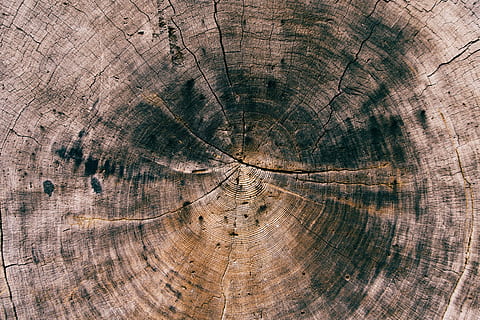 rund, Brun, sort, skære, træ, log, træ ring, bagagerum, natur, baggrund, struktur, baggrunde, tekstureret, fuld ramme, mønster, bark, træstump, revnet, træ - materiale, ingen mennesker, tæt på, plante, træstamme, ru, naturligt mønster, tværsnit, koncentriske, trækorn, 5K, CC0, offentligt domæne, royaltyfrie