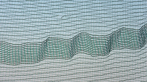 Netzwerk, Fäden, Gewebe, Filigran, Muster, Hintergrund, Hintergründe, abstrakt, Vollbild, keine Leute, Nahansicht, texturiert, drinnen, gebaute Struktur, Natur, die Architektur, High Angle View, Tag, weiße Farbe, Papier-, Kreativität, Textil-, Bodenbelag, Wasser, konzentrisch, 4K, CC0, gemeinfrei, lizenzfrei
