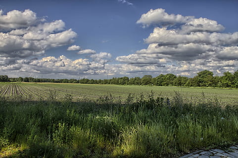 paesaggio, nuvole, campo, cielo, blu, pianta, bel tempo, natura, flora, verde, ecologico, Alba, tempo metereologico, panorama, luce del sole, vista, orizzonte, tramonto, terra, bellissimo, nube, estate, viaggio, autunno, pittoresco, mattina, tranquillo, calmo, foresta, alberi, la zona, idilliaco, all'aperto, primavera, sfondo, nuvola - cielo, ambiente, la tranquillità, scena tranquilla, bellezza nella natura, scenics - natura, crescita, agricoltura, scena rurale, colore verde, erba, giorno, albero, nessuno, piantagione, 4K, CC0, dominio pubblico, privo di copyright