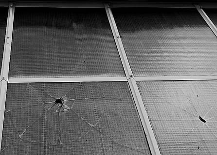 finestra, disco, bicchiere, rotto, foglio, partire, costruzione, facciata, hauswand, rovinare, finestra di vetro, struttura, trist, grigio, cadente, decadimento, struttura costruita, architettura, giorno, nessuno, Inquadratura dal basso, esterno dell'edificio, all'aperto, natura, modello, un animale, luce del sole, vetro - materiale, forma, 2K, CC0, dominio pubblico, privo di copyright