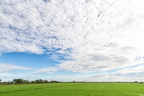 ines, nebe, zobrazení obrázku, mrak - nebe, krajina, rostlina, krása v přírodě, životní prostředí, tráva, Příroda, klid, pole, scenics - příroda, klidné scény, nikdo, přistát, den, zelená barva, scéna s oblaky, modrý, mimoměstské scény, zemědělství, 2K, CC0, veřejná doména, bez autorských práv