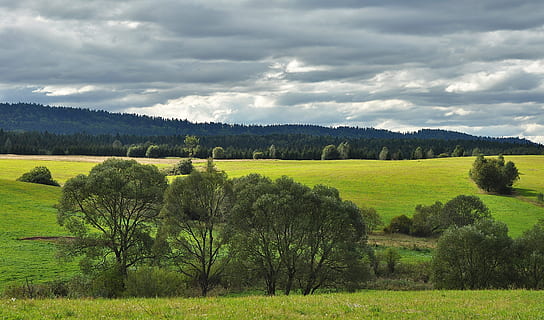 udsigt, bjerge, ovenfra, landskab, en udsigt over bjergene, skyer, toppe, himmel, natur, skønheden i bjergene, falde bjerge, panorama, bjerg, Polen, Beskiderne, plante, træ, miljø, sky - himmel, scenics - natur, ro, grøn farve, skønhed i naturen, græs, rolig scene, jord, Mark, ingen mennesker, vækst, landlige scene, dag, ikke-urbane scene, udendørs, 4K, CC0, offentligt domæne, royaltyfrie