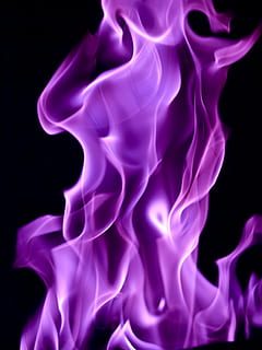 lilla, flamme, grafisk, kunst, flammer, blinkende, ild, brænding, undersøgelse, energi, lyse, farverig, glødende, belysning, varme, glød, flare, designs, figurer, hed, abstrakt, sort baggrund, røg - fysisk struktur, hvirvel, kurve, mønster, baggrunde, tekstureret, bevægelse, studio skud, ingen mennesker, tæt på, indendørs, silke, blå, natur, design, elegance, røgelse, form, flyder, skiftende formular, 1080P, CC0, offentligt domæne, royaltyfrie
