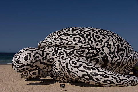 Schildkröte, Riese, aufblasbar, Skulptur, Muster, Schwarz und weiß, Spaß, Kunst, Strand, Sand, zeitgemäß, modern, Ausstellung, blauer Himmel, Australien, Natur, Tier, Meer, Tierwelt, Himmel, Wasser, Land, Kunst und Handwerk, keine Leute, Blau, Kreativität, draußen, klarer Himmel, Urlaub, die Architektur, Szenen - Natur, Design, Schönheit in der Natur, 2K, CC0, gemeinfrei, lizenzfrei