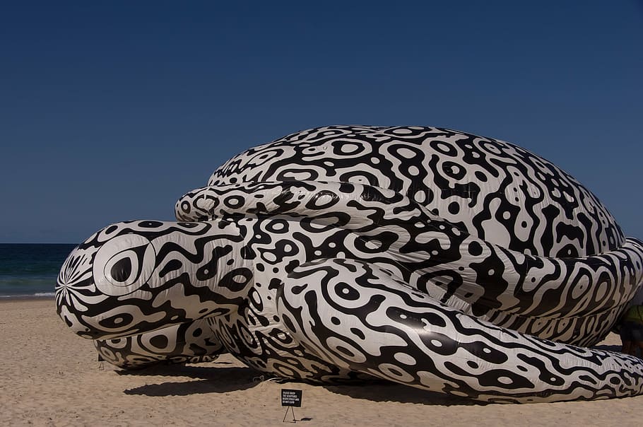 skildpadde, kæmpe stor, oppustelige, skulptur, mønster, sort og hvid, sjovt, kunst, strand, sand, nutidige, moderne, udstilling, blå himmel, Australien, natur, dyr, hav, dyreliv, himmel, vand, jord, Kunst og håndværk, ingen mennesker, blå, kreativitet, udendørs, skyfri himmel, ferie, arkitektur, scenics - natur, design, håndværk, skønhed i naturen, 2K