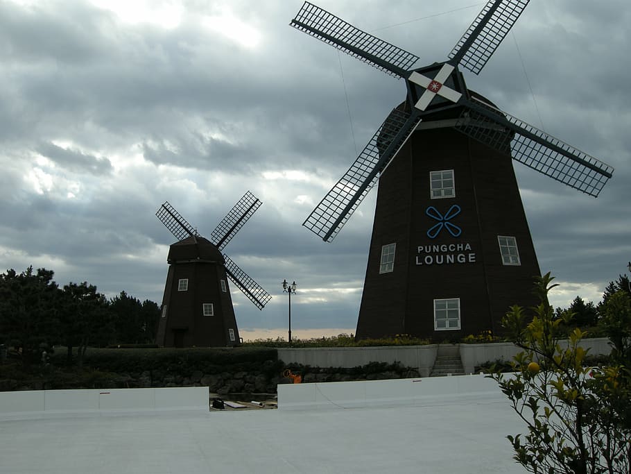 mulino a vento, girandola, Olanda, conservazione dell'ambiente, energia rinnovabile, turbina eolica, energia alternativa, energia eolica, combustibile e produzione di energia, turbina, cielo, mulino a vento tradizionale, ambiente, nuvola - cielo, natura, architettura, paesaggio, struttura costruita, esterno dell'edificio, scena rurale, tecnologia, campo, nessuno, all'aperto, 4K