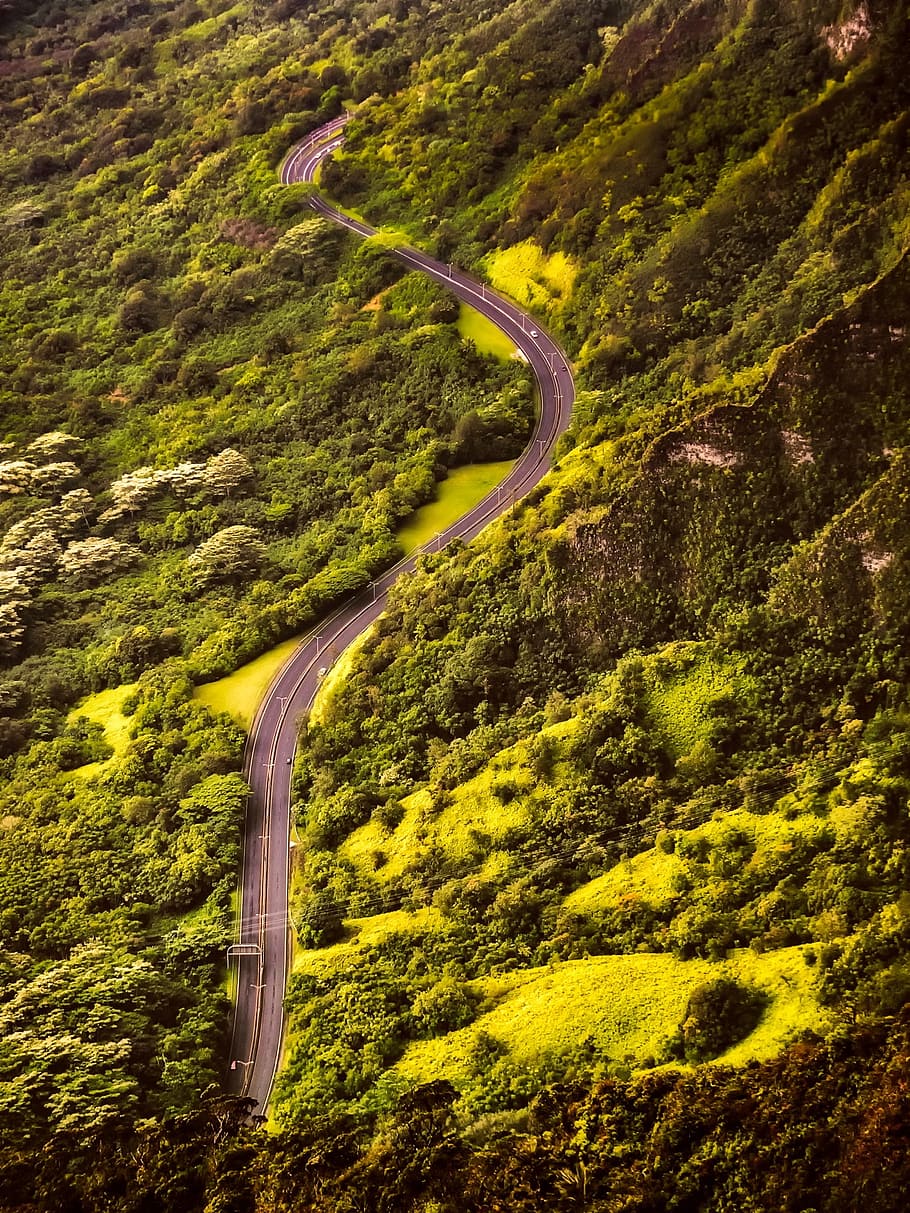 strada, natura, foresta, alberi, vista aerea, ambiente, autostrada, rurale, natura selvaggia, boschi, colore verde, pianta, bellezza nella natura, scenics - natura, scena tranquilla, curva, la tranquillità, scena non urbana, paesaggio, albero, vista dall'alto, montagna, nessuno, mezzi di trasporto, terra, tortuosa strada, crescita, all'aperto, strada di montagna, 1080P