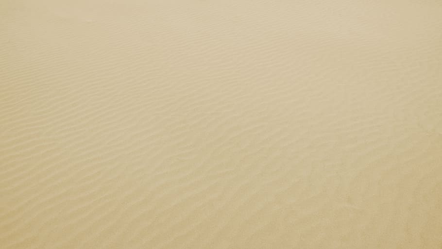 sense títol, blanc, sorra, platja, Costa, naturalesa, a l'aire lliure, fons, textura, marc complet, cap gent, tir de l'estudi, primer pla, dia, patró, terra, aigua, còpia espai, bellesa a la natura, groc, fons abstractes, color daurat, resum, efecte texturat, 4K
