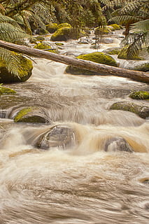râu, curgere, natură, curent, cascadă, pădure, apă, peisaj, în aer liber, obiect de rocă, scenics, apă curgătoare, prospeţime, copac, frumusețe în natură, Culoarea verde, rapid, Munte, plantă, nici o persoana, scenice - natura, mişcare, expunere lungă, zi, teren, stâncă, scenă non-urbană, mediu inconjurator, idilic, mișcare încețoșată, malul mării, putere în natură, 2K, CC0, domeniu public, fără drepturi de autor
