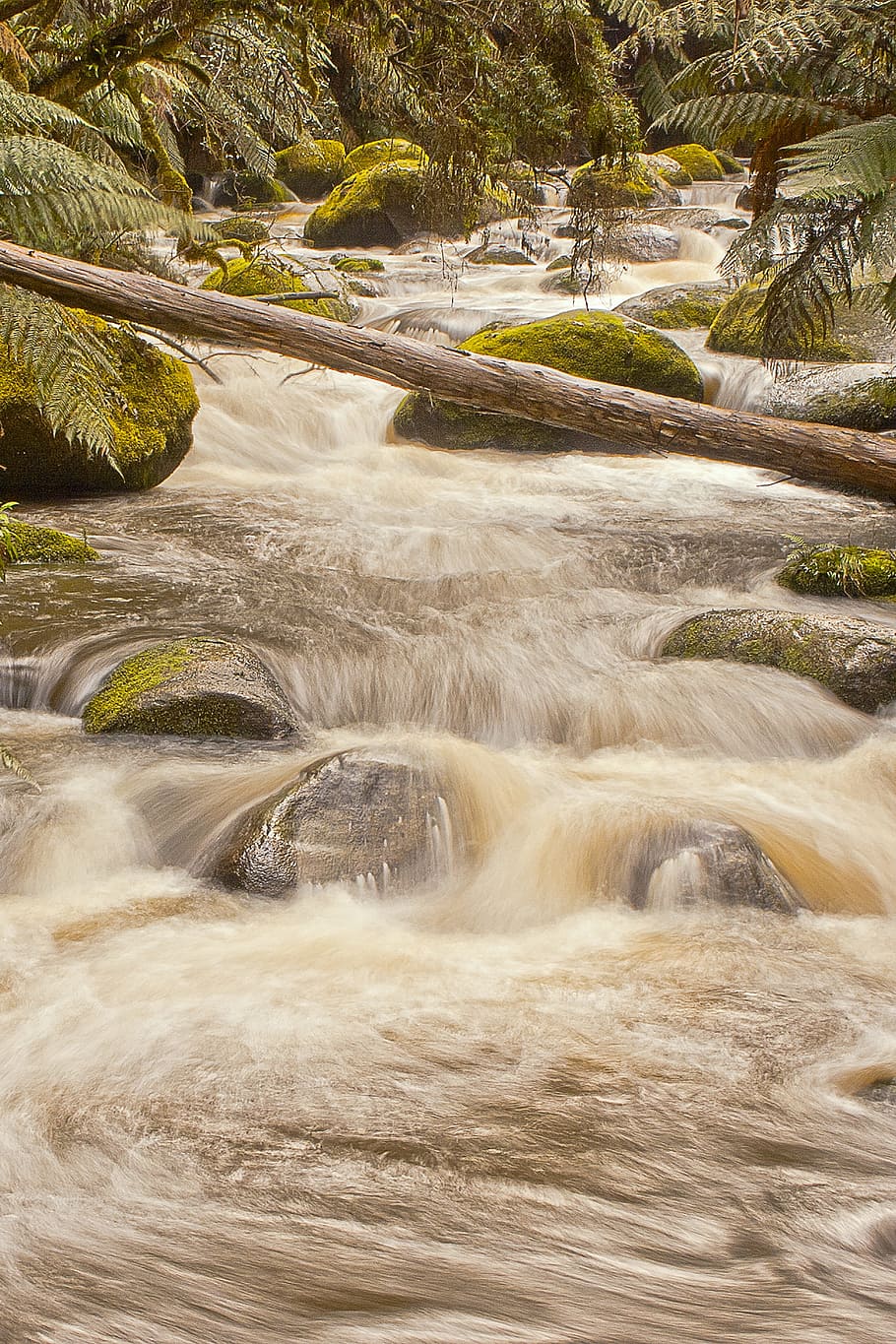râu, curgere, natură, curent, cascadă, pădure, apă, peisaj, în aer liber, obiect de rocă, scenics, apă curgătoare, prospeţime, copac, frumusețe în natură, Culoarea verde, rapid, Munte, plantă, nici o persoana, scenice - natura, mişcare, expunere lungă, zi, teren, stâncă, scenă non-urbană, mediu inconjurator, idilic, mișcare încețoșată, malul mării, putere în natură, 2K