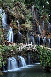 cascadă, rață, lebădă, vedere, peisaj, parc, Istambul, apă, scenice - natura, expunere lungă, frumusețe în natură, apă curgătoare, mişcare, copac, stâncă, mișcare încețoșată, bălăceală, obiect de rocă, formatie rock, natură, plantă, mediu inconjurator, pădure, curgere, solid, nici o persoana, care cade apa, în aer liber, putere în natură, pădure tropicală, 5K, CC0, domeniu public, fără drepturi de autor