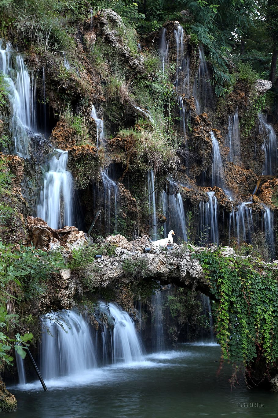 cascata, anatra, cigno, vista, paesaggio, parco, Istanbul, acqua, scenics - natura, lunga esposizione, bellezza nella natura, acqua corrente, movimento, albero, roccia, movimento sfocato, spruzzi, roccia - oggetto, formazione rocciosa, natura, pianta, ambiente, foresta, fluente, solido, nessuno, acqua che cade, all'aperto, potere in natura, foresta pluviale, 5K