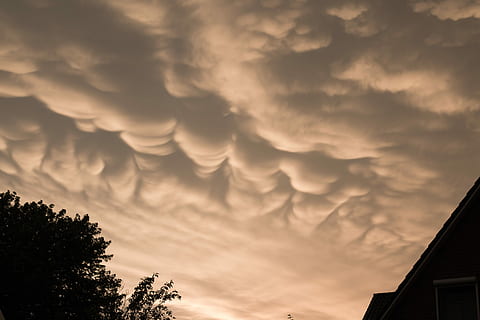 skyer, form, aften, himmel, skyer form, aftenhimmel, tusmørke, sky - himmel, solnedgang, vejr, dramatisk himmel, natur, skønhed i naturen, arkitektur, lav vinkel visning, ingen mennesker, scenics - natur, træ, bygget struktur, silhuet, plante, bygning udvendig, overskyet, storm, bygning, ro, udendørs, ildevarslende, 5K, CC0, offentligt domæne, royaltyfrie