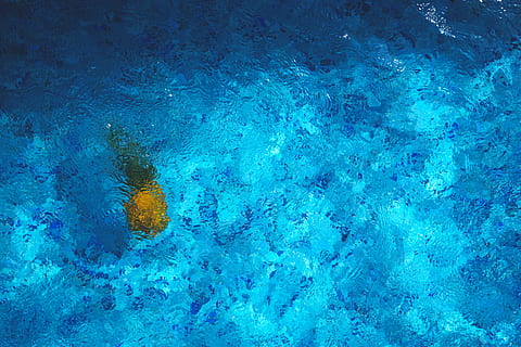 photo, body, water, blue, fruit, golden, pineapple, pool, sand, shadow, summer, summer vibes, summertime, tropical, tropical fruit, underwater, backgrounds, undersea, swimming pool, nature, no people, outdoors, day, high angle view, full frame, sea, waterfront, beauty in nature, food and drink, swimming, close-up, turquoise colored, 5K, CC0, public domain, royalty free