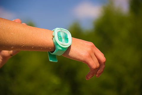 hand, time, watch, waterproof, wet, wristwatch, public domain images, human Hand, wrist, human body part, focus on foreground, one person, holding, water, close-up, adult, bottle, women, body part, day, nature, lifestyles, healthy lifestyle, outdoors, limb, human limb, finger, 5K, CC0, public domain, royalty free