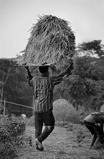 hard, working, people, men, real people, full length, field, child, land, childhood, nature, one person, leisure activity, day, casual clothing, focus on foreground, males, walking, plant, lifestyles, sky, boys, outdoors, innocence, 4K, CC0, public domain, royalty free
