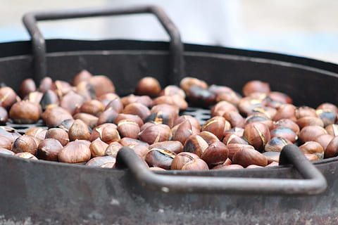 pile, cooked, seeds, roasted chestnuts, chestnuts, feast, tradition, food and drink, food, freshness, large group of objects, selective focus, healthy eating, preparation, wellbeing, no people, household equipment, close-up, kitchen utensil, abundance, cooking pan, heat - temperature, pan, day, indoors, roasted, vegetable, snack, 5K, CC0, public domain, royalty free