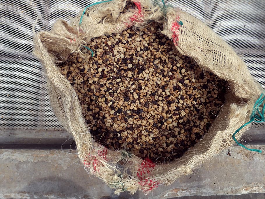 cafè, mongetes, finka, importació, beure, cafè, mongetes, deliciós, grans de cafè, espresso, tassa de cafè, tassa, torrat, benefici de, cafeteria, trencar, menjar i beguda, primer pla, cap gent, menjar, sac, frescor, benestar, jute, bossa, alimentació saludable, naturalesa, dia, natura morta, vista d’angle alt, plàstic, a l'interior, planta, abundància, directament a sobre, bossa de plàstic, 4K