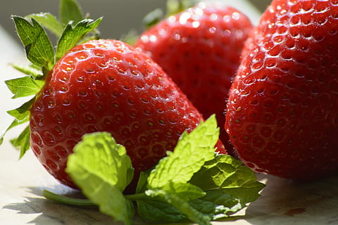 morangos, Bagas, vermelho, hortelã, folha de menta, verde, vitaminas, saudável, Comida, frisch, comer, comida e bebida, Alimentação saudável, fruta, frescura, bem-estar, frutos de baga, fechar-se, folha, parte da planta, morango, ninguém, tiro do estúdio, dentro de casa, maduro, natureza, suculento, grupo de objetos, ainda vida, lichia, 5K, CC0, domínio público, royalty free