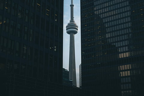 alto, sorgere edifici, giorno, cn torre, grattacieli, città, costruzione, grattacielo, scena urbana, New York City, architettura, edificio per uffici, esterno dell'edificio, struttura costruita, manhattan - new york city, distretto del centro, vita di città, moderno, paesaggio urbano, distretto finanziario, architettura ed edifici, Torre, attività commerciale, nessuno, alto - alto, Inquadratura dal basso, edificio per uffici esterno, destinazioni di viaggio, turismo, comunicazione, all'aperto, ufficio, finestra, guglia, bicchiere, comunicazioni globali, posto, Posizione, 4K, CC0, dominio pubblico, privo di copyright