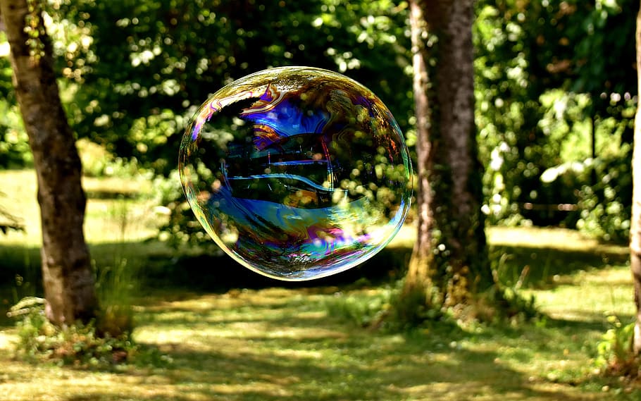 vicino, foto, bolla, alberi, polarizzata, bolla di sapone, enorme, grande, fare bolle di sapone, wabbelig, iridescente, acqua insaponata, divertimento, volare, colorato, riflessione, albero, spettro, bacchetta, rifrazione, vulnerabilità, natura, trasparente, fragilità, giorno, sfera, concentrarsi sulle conoscenze acquisite, multicolore, pianta, sapone sud, avvicinamento, luce del sole, all'aperto, mezz'aria, bellezza nella natura, messa a fuoco selettiva, nessuno, 5K