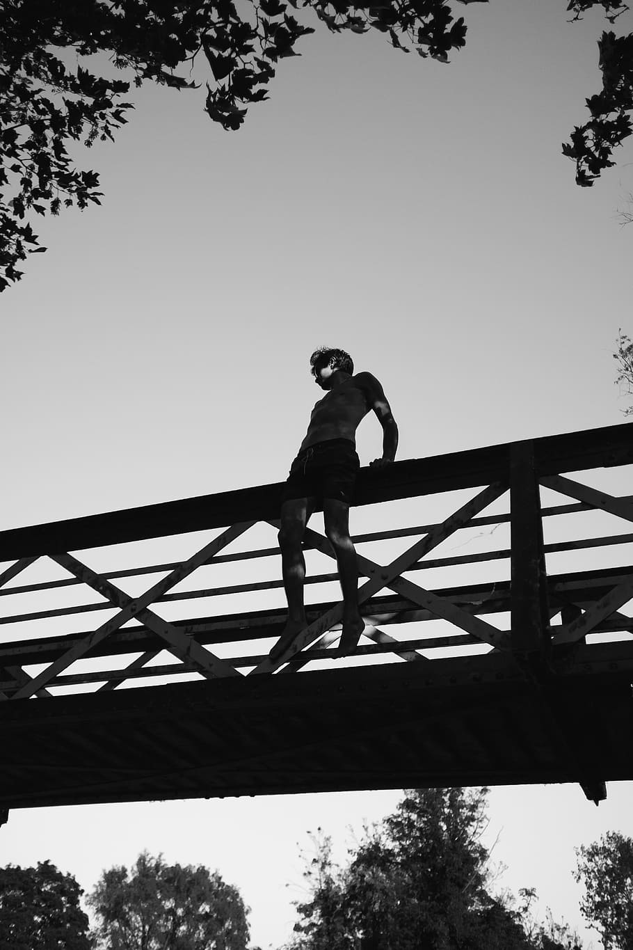 pont, infraestructura, arbres, plantes, naturalesa, a l'aire lliure, gent, home, sol, saltar, silueta, cel, arbre, persones reals, longitud completa, vista d’angle baix, planta, una persona, estils de vida, cel clar, dia, activitat d'oci, arquitectura, home jove, de peu, homes, estructura construïda, barana, 5K