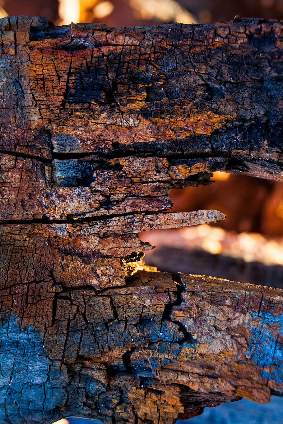 abstrakt, brændt, blå, rød, planke, kulstof, tekstureret, natur, tæt på, rusten, dag, udendørs, metal, fokus på forgrunden, ingen mennesker, forvitret, mønster, beskadiget, træ - materiale, baggrunde, ru, væg, fuld ramme, kørt ned, Brun, selektiv fokusering, 5K