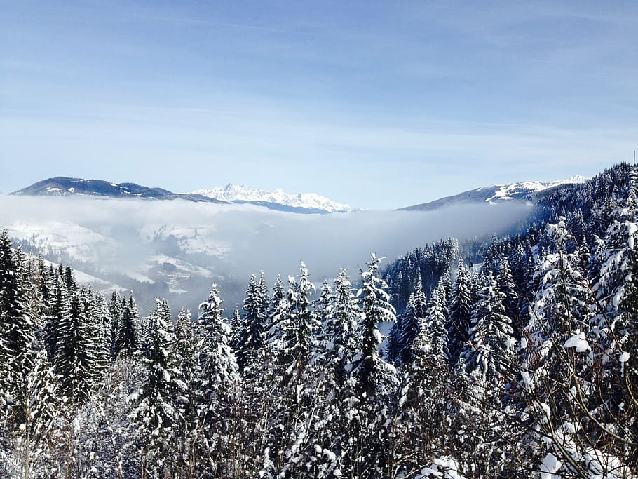 foto, cobert de neu, arbres, dins, Serra, durant el dia, neu, cobert, muntanyes, blau, cel, núvols, muntanya, muntanya alta, vall, plantes, naturalesa, fred, hivern, cap gent, dia, temperatura de fred, pi, paisatge, a l'aire lliure, escenics - natura, bellesa a la natura, planta, arbre, medi ambient, escena tranquil·la, tranquil·litat, escena no urbana, terra, bosc, muntanya nevada, arbre de coníferes, bosc de pi, cim de muntanya, 2K