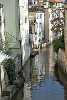 odbicie, kanał, Praga, miasta, Europa, krajobraz, Miasto, rzeka, architektura, miejski, Tapeta, zbudowana struktura, woda, na zewnątrz budynku, budynek, Natura, nabrzeże, żadnych ludzi, statek morski, dzień, dzielnica mieszkaniowa, transport, roślina, środek transportu, połączenie, na dworze, 5K, CC0, domena publiczna, darmowe zdjęcia