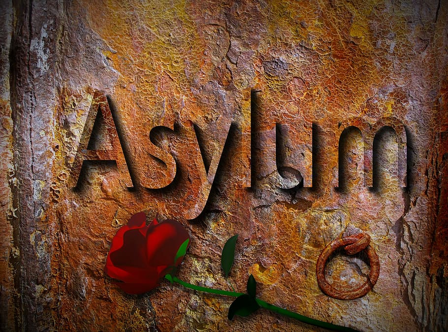 marró, beix, fons, rosa, superposició, asil, refugiats, seguiment, ajuda, protecció, refugi, externament, fam, caritat, migració, sol·licitants d'asil, sol·licitud d’asil, integració, rovellat, vell, resistent, aixafar, primer pla, espatllat, material de fusta, abandonat, cap gent, a l'interior, text, metall, vermell, marc complet, guió occidental, declivi, deteriorament, comunicació, seguretat, 2K