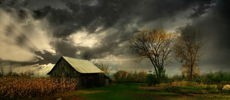 black, house, trees, cornfield wallpaper, clouds, dark, sky, atmosphere, country side, storm, atmospheric, cloud - sky, tree, plant, architecture, landscape, environment, nature, building, built structure, field, grass, land, dramatic sky, agricultural building, no people, hut, outdoors, ominous, 5K, CC0, public domain, royalty free